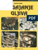 Zlatko Lisjak-Uzgajanje Gljiva