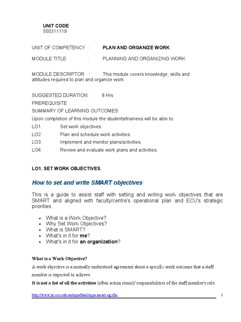 Plan and Organize Work PDF Goal Performance Appraisal