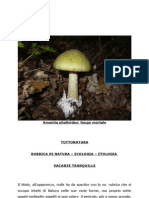 Amanita Phalloides: Fungo Mortale