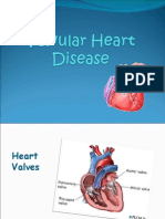 valvularheartdisease-1223958935203145-9