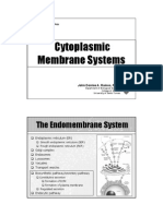  EndoMembrane System