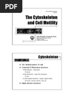 Download Cytoskeleton by Renz L Salumbre SN15041174 doc pdf