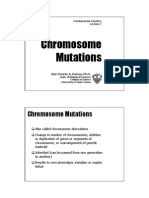 Gene Lecture 7 Chromosome Mutations