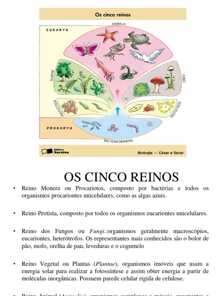 Os Cinco Reinos + Vírus | PDF | Vírus | Protozoários
