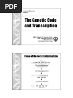 Download Gene Lecture 11 Transcription by Renz L Salumbre SN15041323 doc pdf