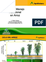 Plan Manejo Nutricional en Arroz - Agrosagi