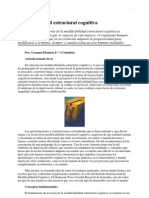Modificabilidad Cognitiva PDF