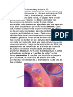3d-ciclocelularymitosis-130420212432-phpapp01