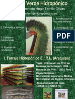 Produccion Forraje Verde Hidroponico Ing. Tarrillo