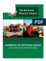 Bronze Award1 Girl Guidelines