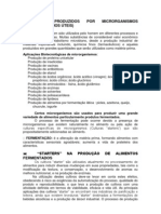 Alimentos Produzidos Por Microrganismos