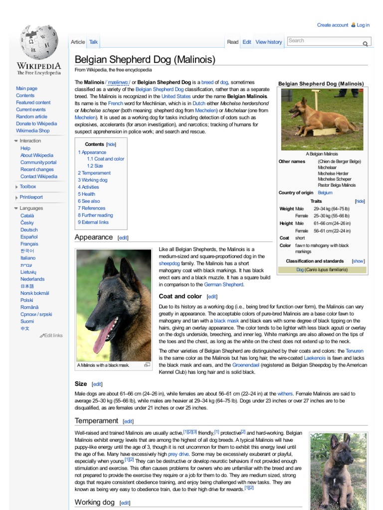 Wikibelgian Shepherd Dog Malinois Herding Dog Breeds
