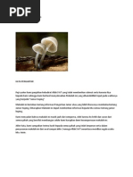 Download MAKALAH JAMUR KUPING by Neo Nj SN150479887 doc pdf