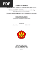 Download LAPORAN PRAKTIKUM SILVIKULTUR HUTAN ALAM DAN HUTAN TANAMAN by Mas Arif Arifin SN150489177 doc pdf