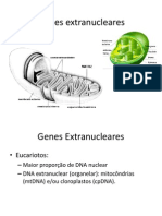 Genes Extranucleares
