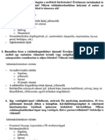 2 Tételek PDF
