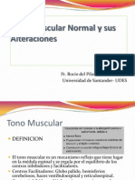 Clase12tonomuscularnormalysusalteraciones 110328232920 Phpapp02