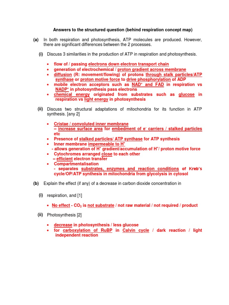Photosynthesis And Respiration Concept Map Answers