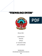 ENZIM fix.pdf