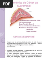 Horrmônios da Suprarrenal- fisiologia.pptx
