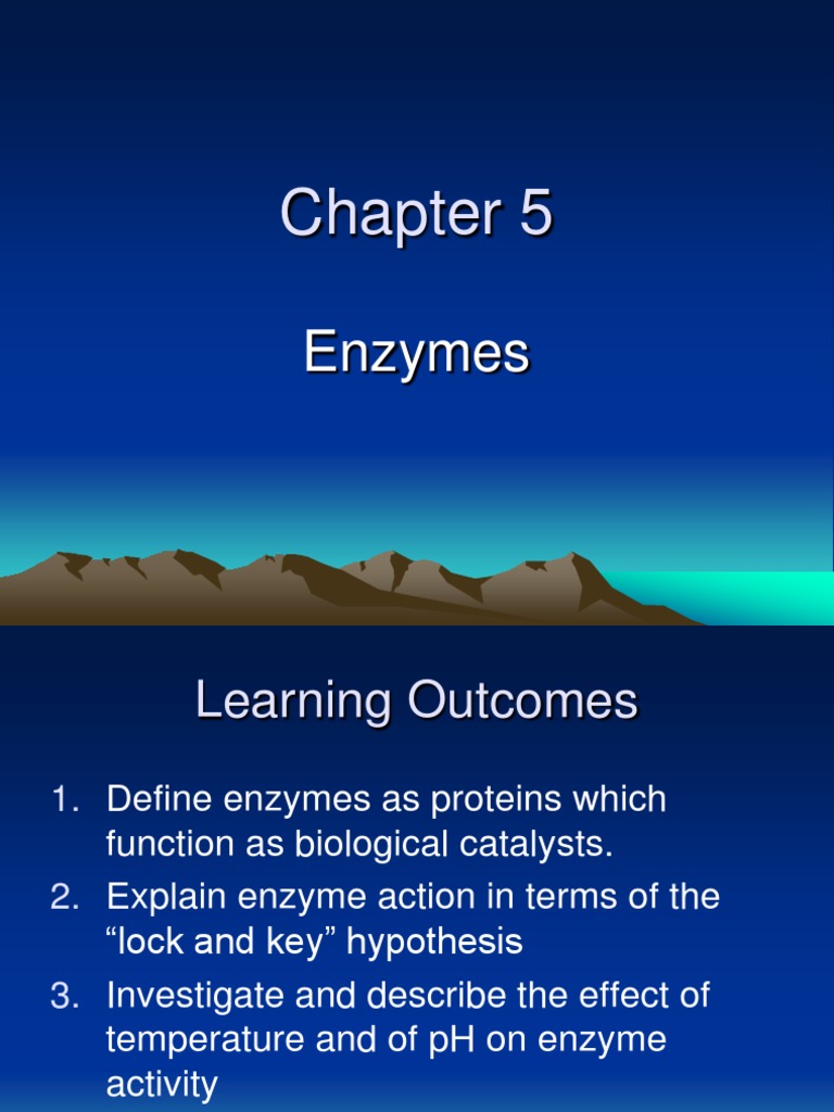 Chap. 5 Enzymes Biology O Levels PDF Enzyme Active Site