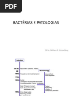 BACTÉRIAS E PATOLOGIAS - ENEM