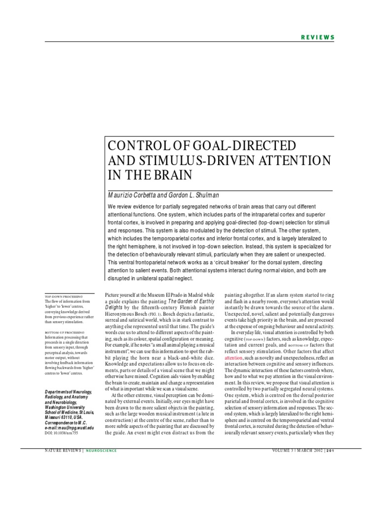 Control of Goal Directed and Stimulus Driven Attention | PDF