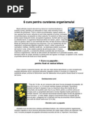 Anatol Basarab Numerologia In Viata Fiecaruia Pdf Creator