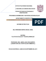 Informe de Practicas