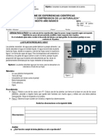 6° Basico INFORME N1 DE EXPERIENCIAS CIENTIFICAS