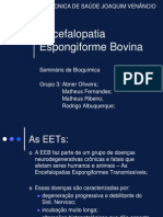 Encefalopatia Espongiforme Bovina