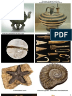 Artifacts and Fossils
