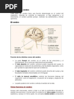 La Carta, tipos y Carácterísticas
