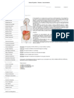Sistema Digestório - Sistemas - Aula de Anatomia