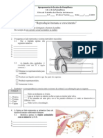 Ficha de trabalho de Ciências da Natureza do 6º Ano- reprodução humana e crescimento