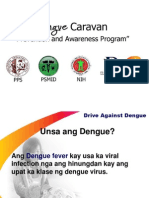 Dengue Fever