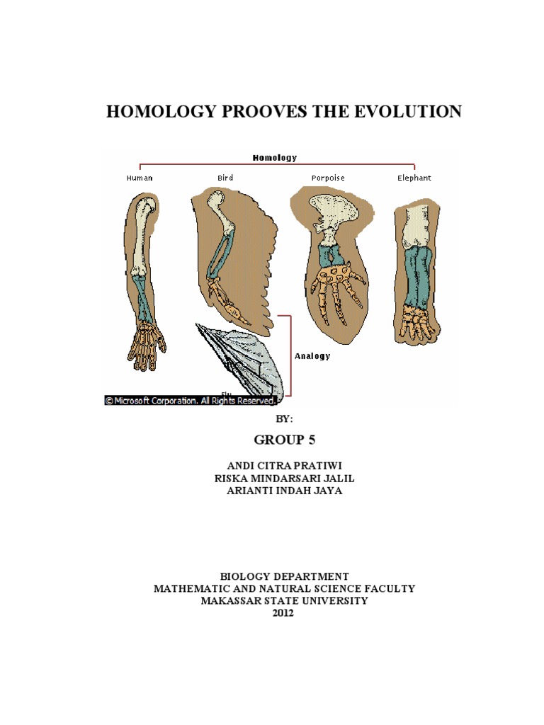 Bukti Evolusi Homologi Homology Biology Evolution Bukti Evolusi Homologi Homology Biology Evolution