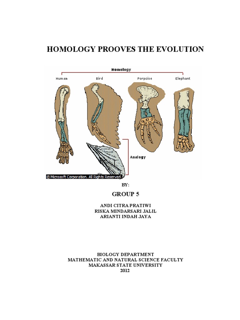 Bukti Evolusi Homologi  Homology Biology Evolution
