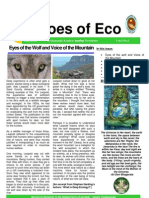 Echoes of Eco: Eyes of The Wolf and Voice of The Mountain