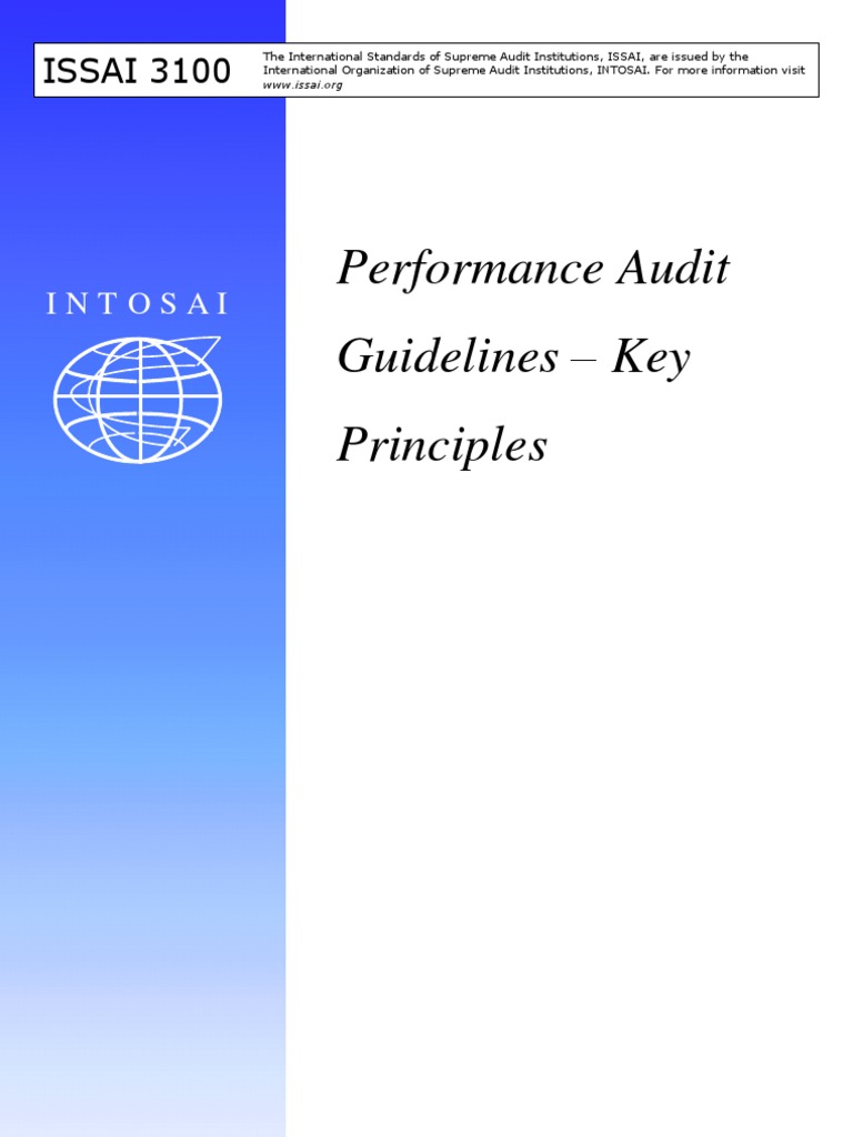 ISSAI 3100: Performance Audit Principles | PDF | Business