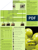 Folleto Aceituna Mesa_tcm5-533