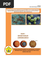 Download Makalah Rg Pisang Vaksin Hepatitis Idham k by Idham Khalid SN150694264 doc pdf