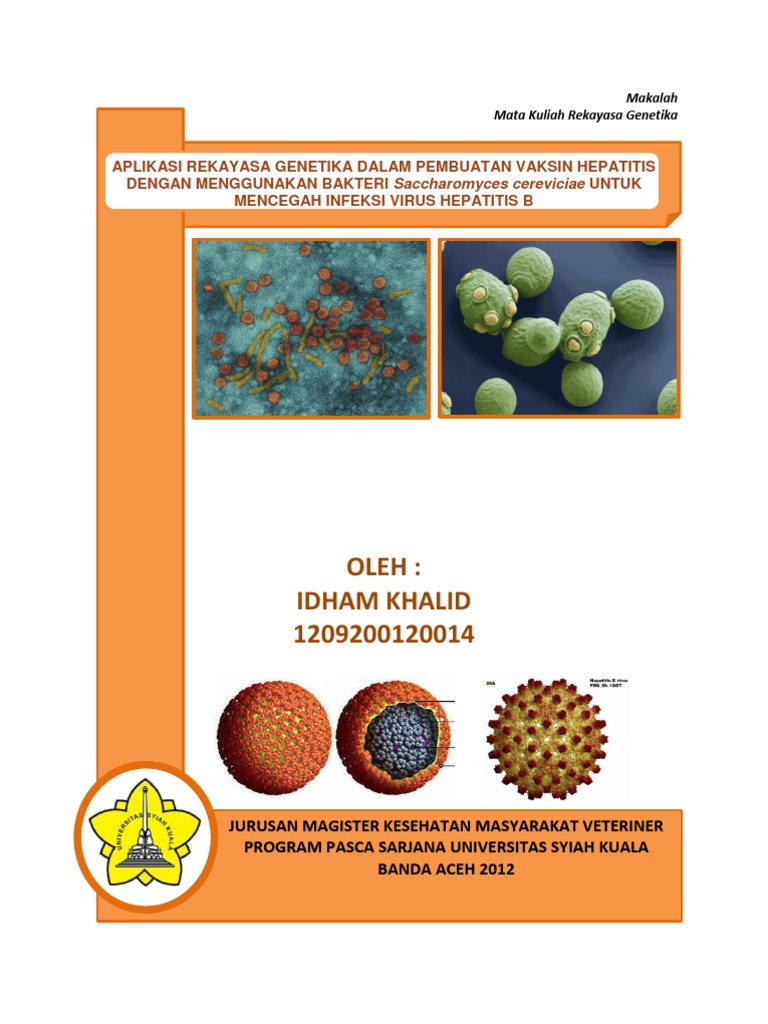 Makalah Rg Pisang Vaksin Hepatitis Idham K