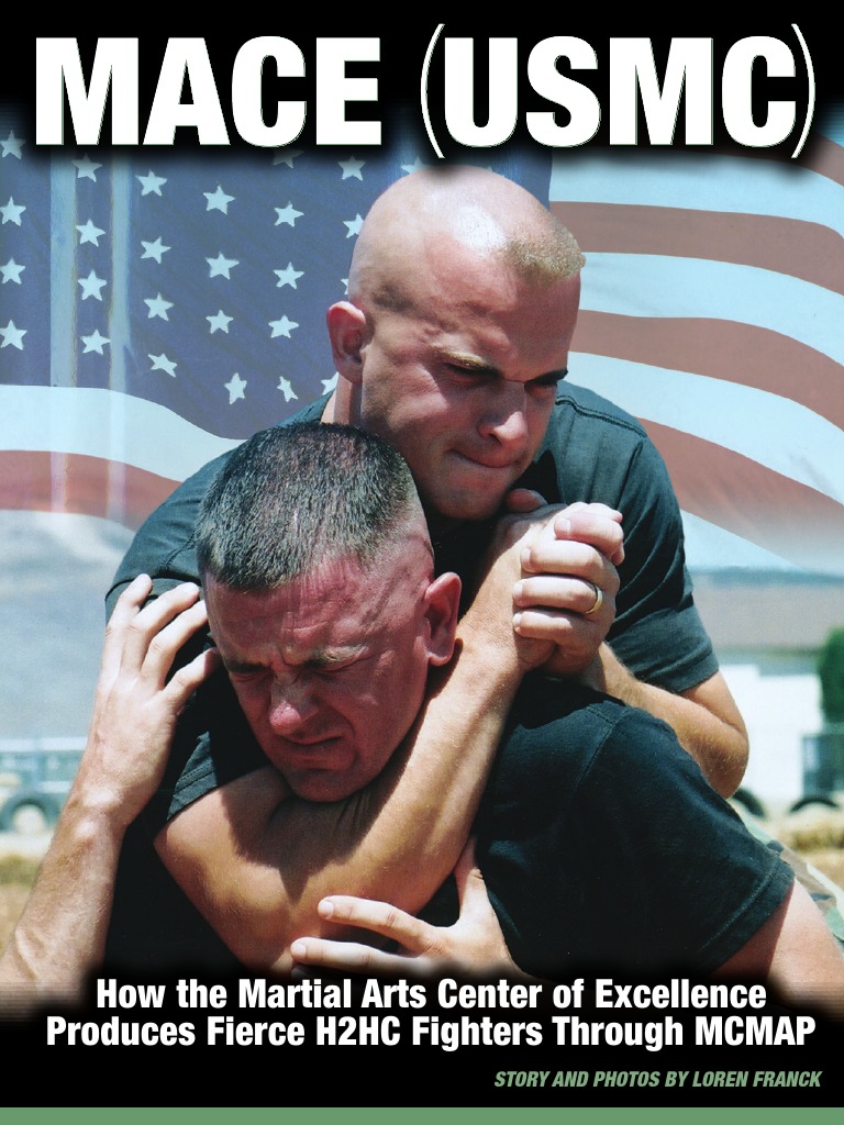 Mace Guide What To Do in An Extreme Situation PDF United States