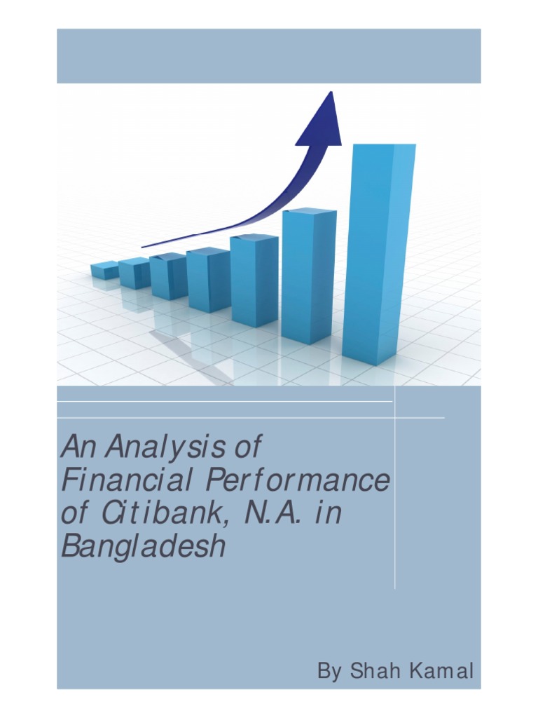An Analysis of Financial Performance PDF Citigroup Correlation