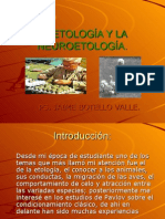 LA ETOLOGÍA Y LA NEUROETOLOGÍA. Ps. Jaime Botello Valle.