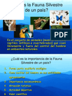 Faunasilvestre 120430225819 Phpapp01