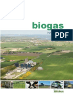 Biogas Handbook