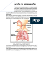 Sistema Respiratorio2