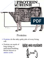 Proteins 2